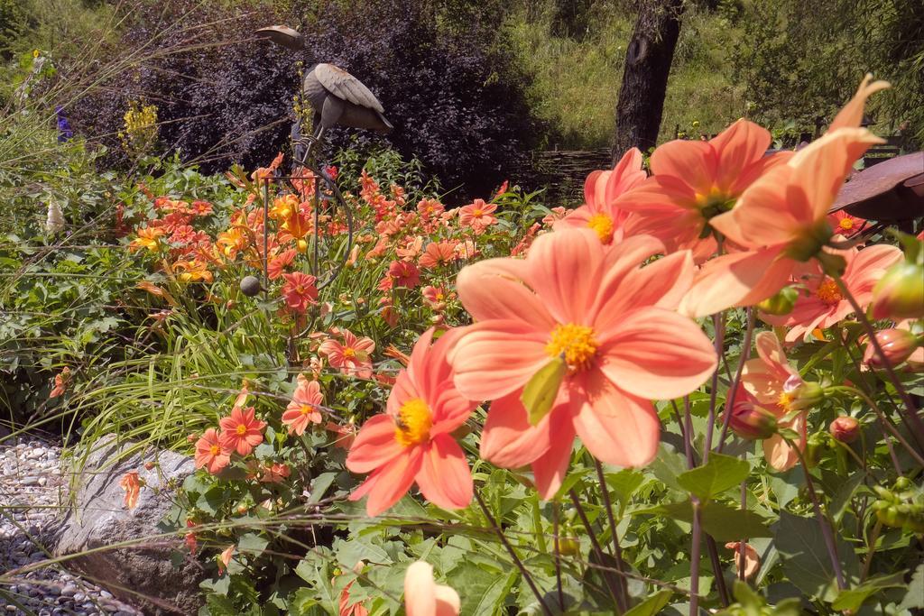 Pension Aloisia Scheffau am Wilden Kaiser Ngoại thất bức ảnh