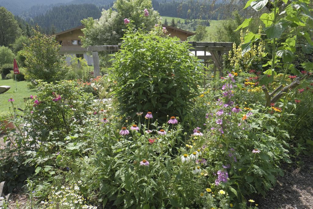 Pension Aloisia Scheffau am Wilden Kaiser Ngoại thất bức ảnh