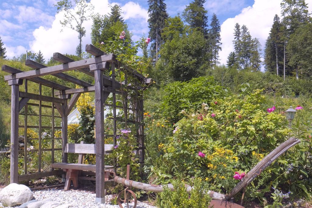 Pension Aloisia Scheffau am Wilden Kaiser Ngoại thất bức ảnh