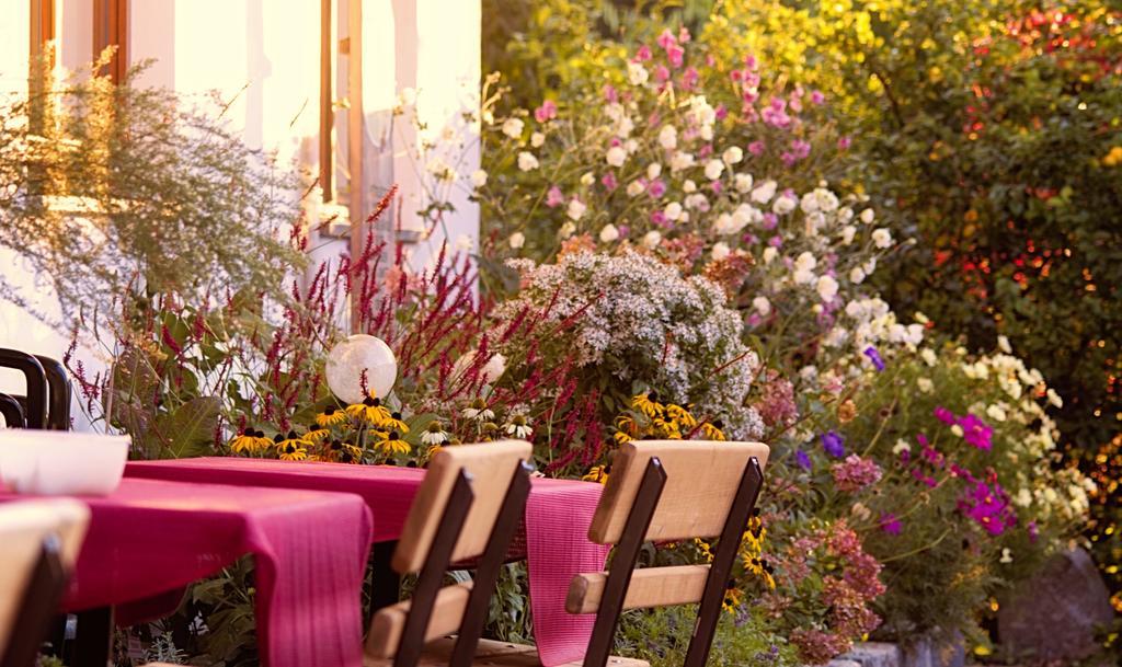 Pension Aloisia Scheffau am Wilden Kaiser Ngoại thất bức ảnh
