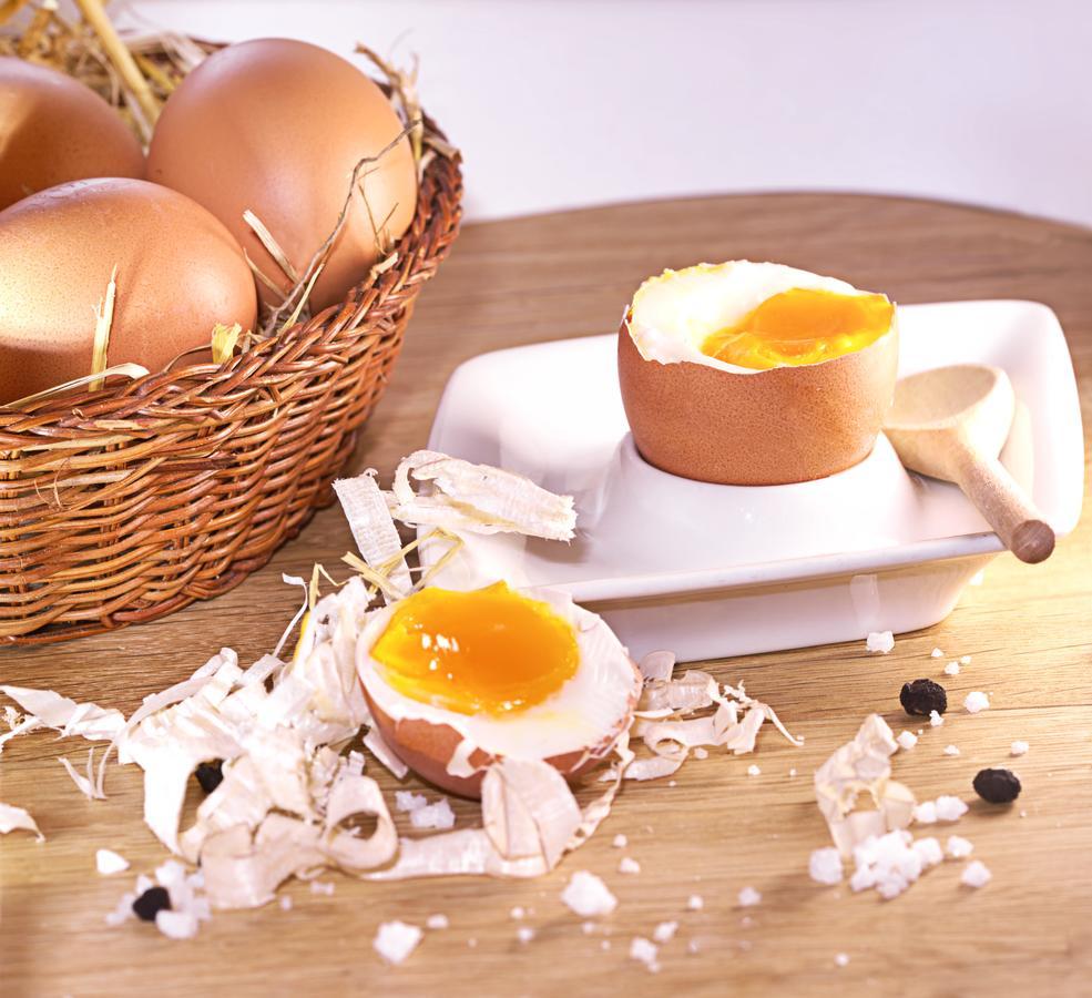 Pension Aloisia Scheffau am Wilden Kaiser Ngoại thất bức ảnh